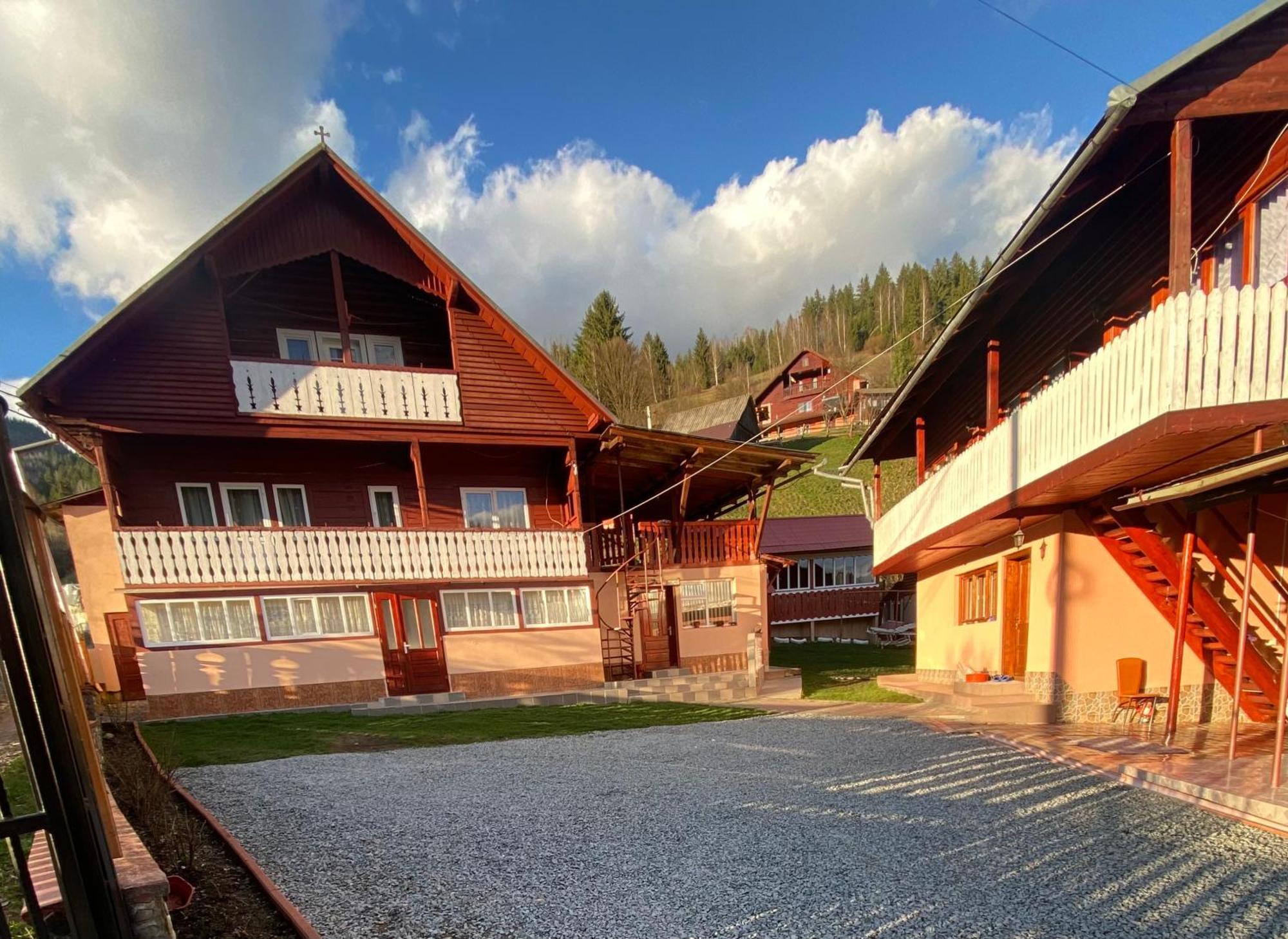 Pensiunea Daiana Albac Exterior photo