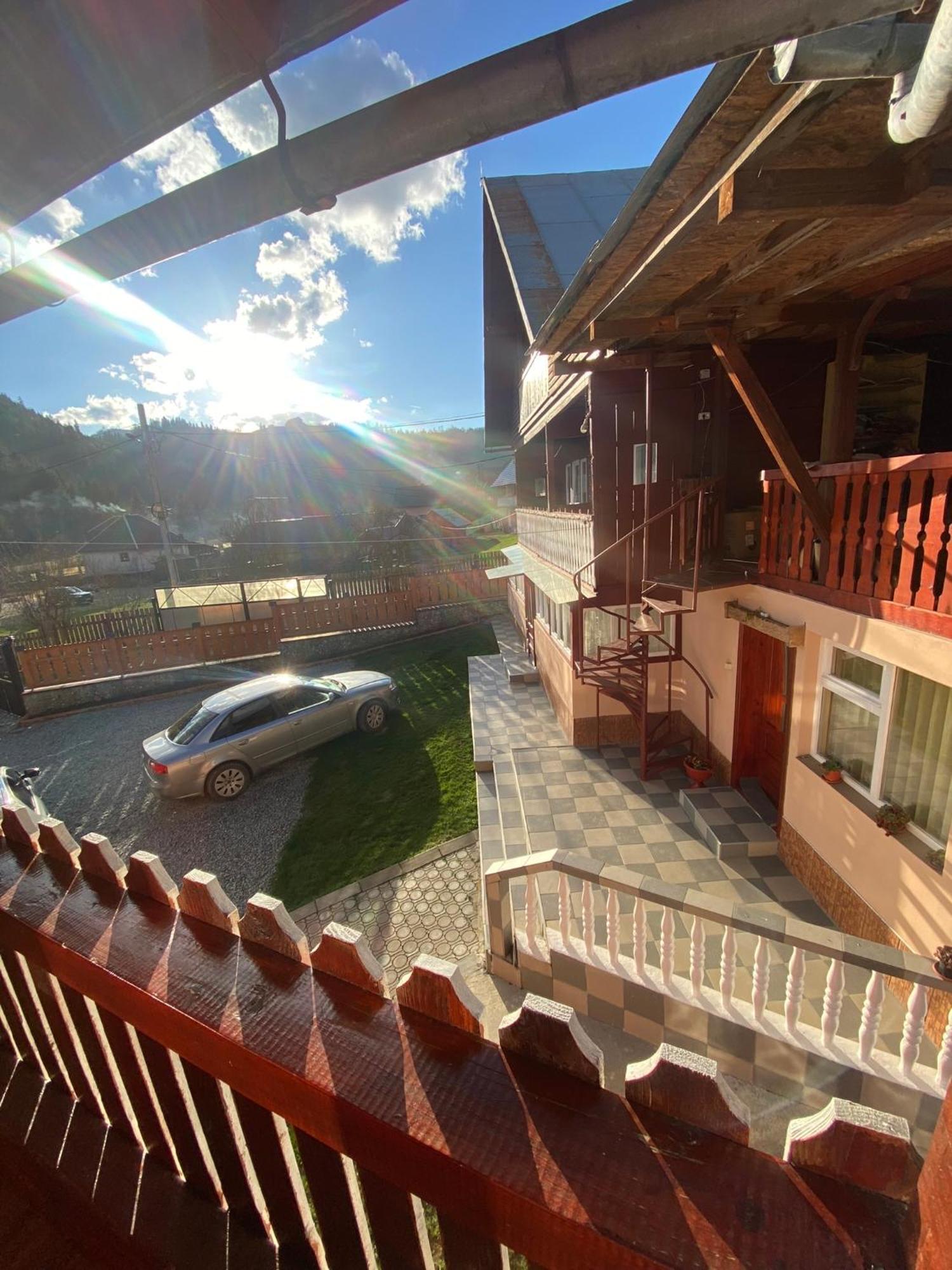 Pensiunea Daiana Albac Exterior photo