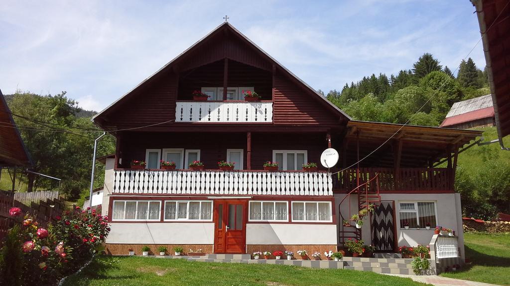 Pensiunea Daiana Albac Exterior photo